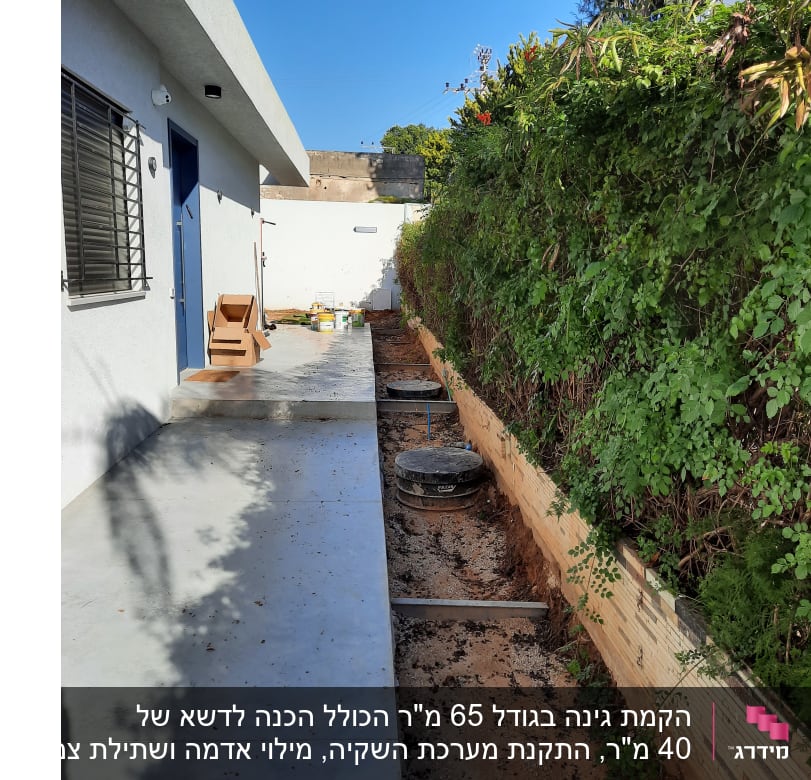 שיחים ירוקים לאורך שביל בטון עם אדמה חשופה